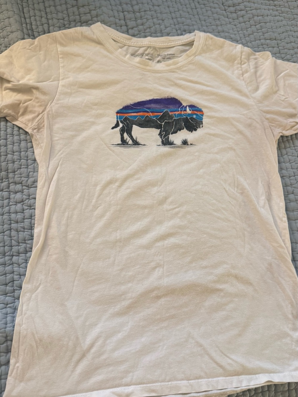 Women’s Patagonia White Graphic Buffalo Tee